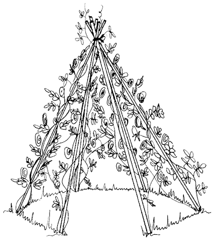 The living Teepee.